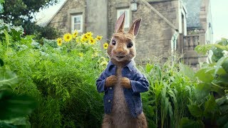 PETER RABBIT  International Trailer 1  In cinemas March 2018 [upl. by Nilcaj928]