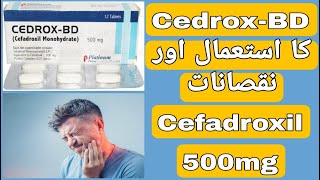 Cedrox BD 500mg Uses  Cedrox BD Tablet Side Effects  Cefadroxil 500mg Uses in UrduHindi [upl. by Garey]