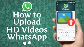 How to Upload HighQuality Photos and Videos WhatsApp Status [upl. by Arhat836]