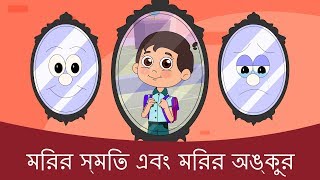 মিরর হেসে এবং মিরর কান্না  Golpo গল্প  ঠাকুরমার গল্প 2018  Bangla Cartoon  রুপকথার গল্প [upl. by Paulette]