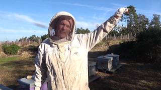 Beehive installation on Domaine Mirabeau with Philip Prior [upl. by Ethe631]