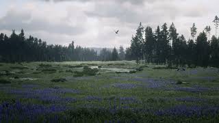 Big Valley  Red Dead Redemption 2 Ambience [upl. by Carlin]