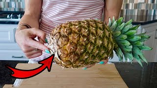 No Knife Pineapple Hack 🍍how to pull apart a pineapple amp correctly eat it Clean amp Delicious [upl. by Annekim716]