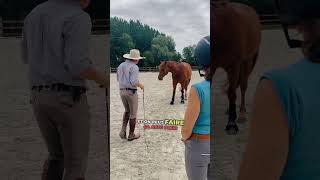 Comment bien se servir d’une cravache ou d’un stick ❔ feat ​⁠Andy Booth 👑✨ equitation [upl. by Hsepid203]