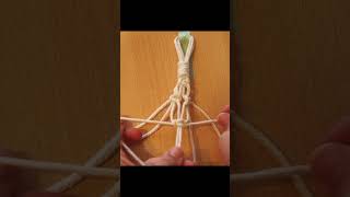 Makramee Amaryllis Aufhängung 🌺 Macrame Plant Wall Hanging [upl. by Lough589]