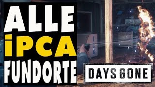 Days Gone Guide  Alle IPCA Technologie für geheime Easter Egg Waffe [upl. by Adnamar]