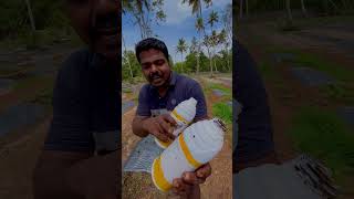 Humic acid ന്റെ ഗുണങ്ങൾ [upl. by Beare]