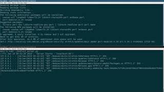 MiTM attack in APT Linux Package Manager Demo [upl. by Eiramanit]