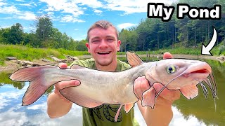 Catching Catfish to Stock My Pond [upl. by Hutchings344]