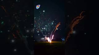 228Shot Mixed Effect Firework 228发混合盆花 [upl. by Drewett94]