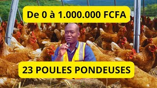 De 0 à 1 000 000 avec 23 POULES PONDEUSES Seulement INCROYABLE mais VRAI [upl. by Aterg990]