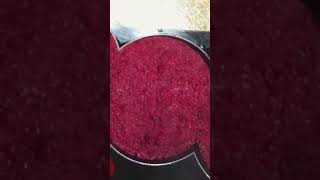 beetroot halwaviral song viral video😋😋😋 [upl. by Burrows]