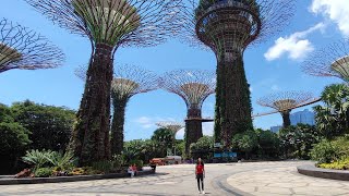 Gardens Bay the Bay Singapore [upl. by Clemente]