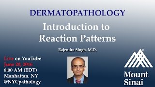 Dermatopathology Introduction to Reaction Patterns w Dr Singh [upl. by Oiziruam]