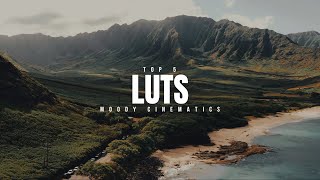 The 5 Best Cinematic LUTs 2024 [upl. by Aerbas]