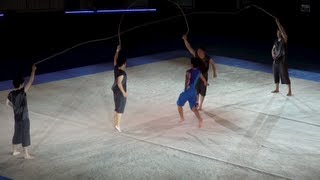 Imageflip for male rhythmic gymnasts [upl. by Sarene]