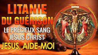 LITANIE du PRÉCIEUX Sang de JÉSUS 🙏 PRIÈRE de PROTECTION par le SANG PRÉCIEUX de JÉSUS [upl. by Nauqal933]