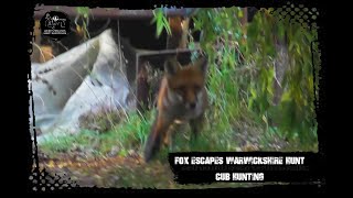 Fox escapes Warwickshire Hunt cub hunting [upl. by Luedtke]