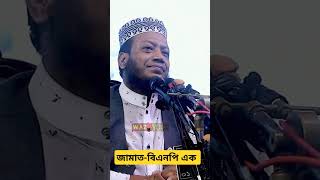 জামাতবিএনপি গোঁপন তথ্য ফাঁস Mufti Amir Hamza WAZ A TO Z [upl. by Lumbard]