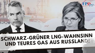 Schwarzgrüner LNGWahnsinn und teures Gas aus Russland 💨 ⚠ [upl. by Gnuh]