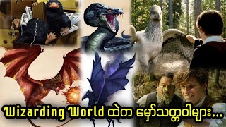 Wizarding World ထဲက မှော်သတ္တဝါများ [upl. by Terris]