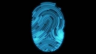 Digital Fingerprint Scan Animation [upl. by Eronaele]