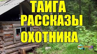 ТАЕЖНЫЕ ПРИКЛЮЧЕНИЯ  Рассказы охотника [upl. by Sedda]