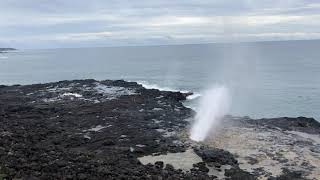 Spouting Horn  Kauai Hawaii  Travel Stock Footage HD [upl. by Ahsilak495]