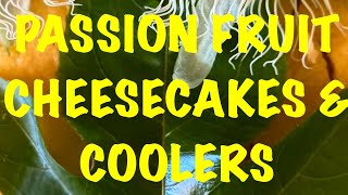 🍰HAWAIIAN PASSION FRUIT🍈CHEESECAKE amp COOLERS🥂WHAT IS POG⁉️🐉DRAGON FRUIT UPDATE🫚 [upl. by Nylecsoj222]