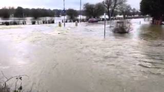 Thames floods  Chertsey Mead inundated [upl. by Adelbert]