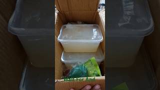 Natural Life 🌿 India MartCom Online Shopping Soap Base Unboxing 📦 ubtanmaking skincare beauty [upl. by Beverly744]