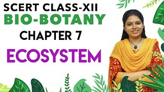 SCERT class 12  Botany chapter 7  Ecosystem [upl. by Allehc]