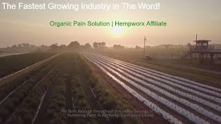 HempWorx Product Video  Top CBD Oil [upl. by Sherrod388]