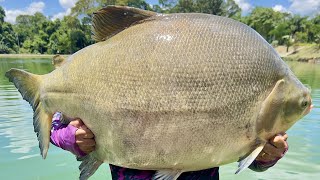 SONHO REALIZADO TAMBA GIGANTE DE 35KG PEGO NO ENGORDA DO MAEDA COM UMA ISCA FATAL [upl. by Nylaret347]