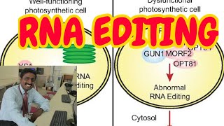 RNA EDITING  TAMIL EXPLNATION [upl. by Adliw454]