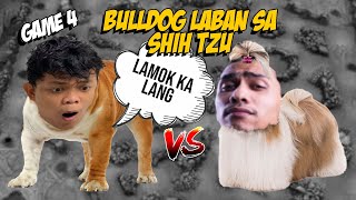 BULLDOG LABAN SA SHIH TZU  GAME 4 [upl. by Llemart]