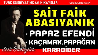 quotPapaz Efendiquot quotKaçamak Papağan Karabiberquot Sait Faik Abasıyanık Hikayeleri [upl. by Mroz]