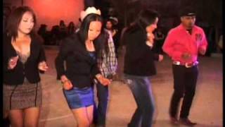 baile en el granjenal san luis 2010wmv [upl. by Akanke]