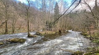 Germany 20240211 Packrafting Obere Rur 12 Monschau  Grünenthal [upl. by Camm124]