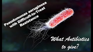 Pseudomonas aeruginosa with DifficulttoTreat Resistance [upl. by Manson466]