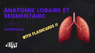 Radiologie  ANATOMIE LOBAIRE ET SEGMENTAIRE par ANWAR BAZA [upl. by Eberle]