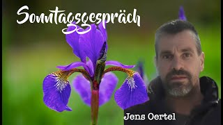 Sonntagsgespräch mit BaumMentor Jens Oertel über die Vertreibung von Schnecken und Ameisen [upl. by Riatsala]