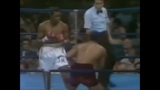 Tommy Hearns Vs Pablo Baez Highlights Hearns Powerful [upl. by Adlesirk]