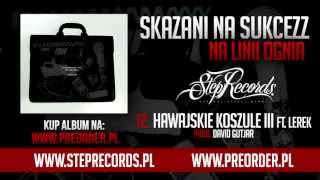 Skazani Na Sukcezz ft Lerek  Hawajskie koszule III [upl. by Selene]