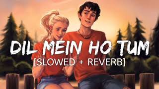 Dil me ho tum Slowed  Reverb slow Version  Armaan Malik  Slowed Reverb  Lofi Song ❤️ [upl. by Hiroko95]