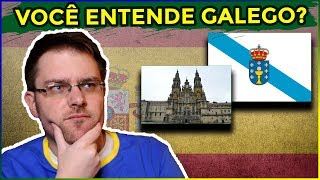 O idioma GALEGO  Você consegue entender  Idioma falado na Galiza [upl. by Hamel578]