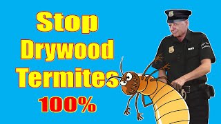 How to Prevent Drywood Termites 100 Guaranteed [upl. by Pontius]