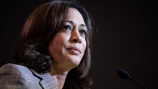 ‘Lying for the left’ US media denies Kamala Harris was ‘border czar’ [upl. by Aerised]