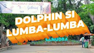 DOLPIN si Lumbalumba 021124 SAMUDRA Ancol [upl. by Strephonn]