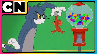 Tom and Jerry  Jerry the Troublemaker  Cartoon for Kids  Only on Cartoon Network India [upl. by Herrmann]